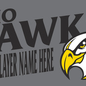 Ohio Hawks Decal 1
